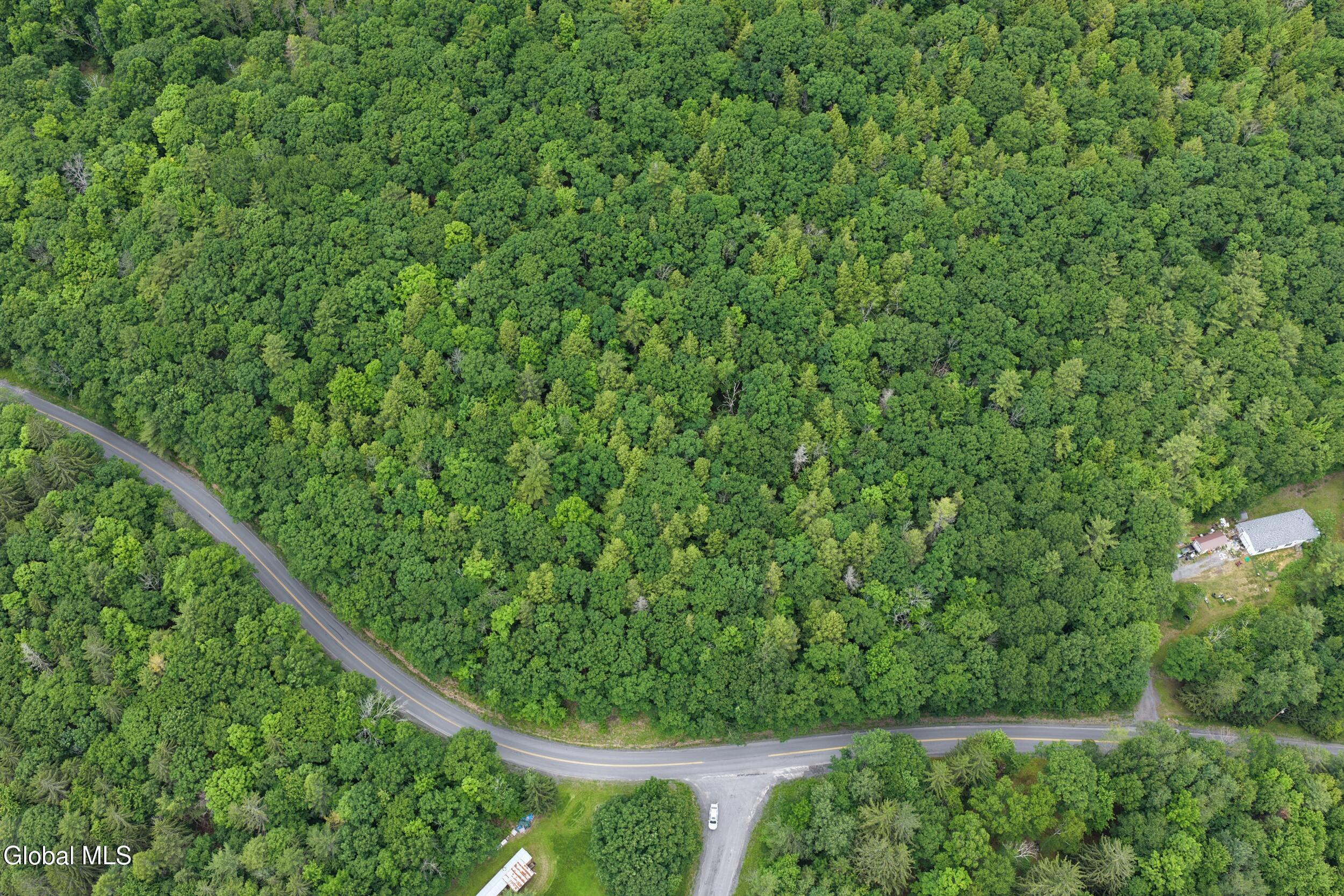 L1.00 Cotton Hill Road Middleburgh, NY 12122 - Photo 12 of 17 dji_20260616013901_0058_d