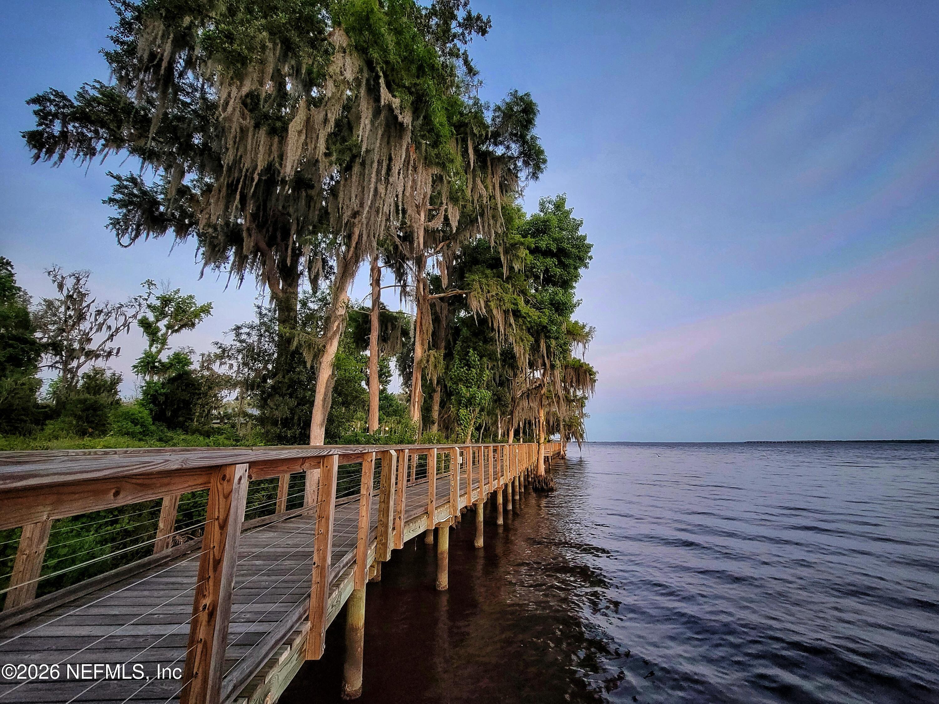 507 Narrowleaf Drive St. Johns, FL 32259 - Photo 51 of 79 a view of balcony with wooden floor and potted plants
