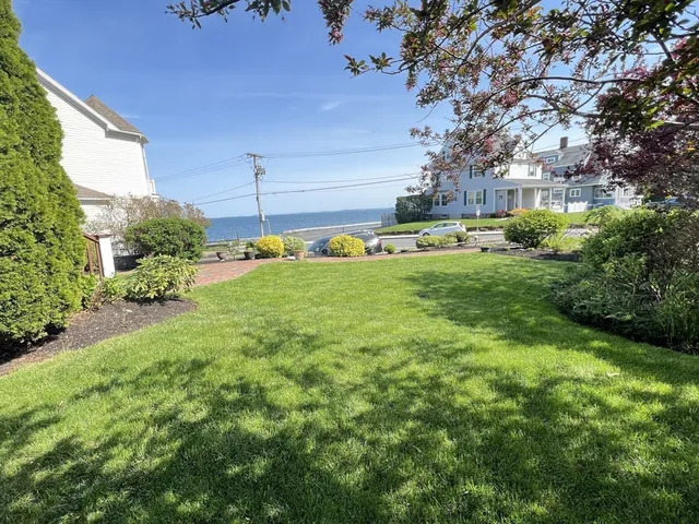 a view of a garden with a slide