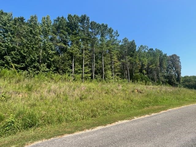 a big yard with lots of green space and plants