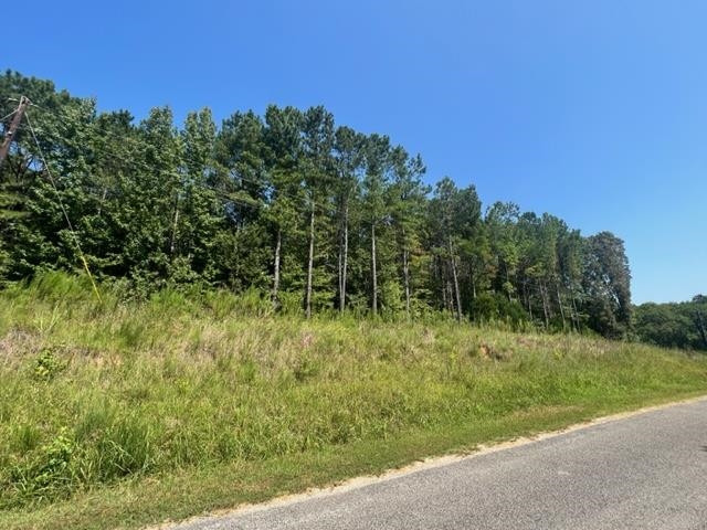 0 Old Lula Road Reagan, TN 38368 - Photo 2 of 3 a view of outdoor space and green field
