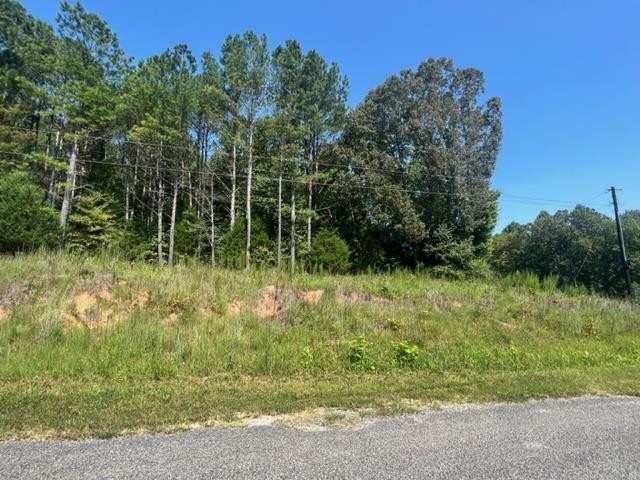 0 Old Lula Road Reagan, TN 38368 - Photo 3 of 3 a view of outdoor space and garden