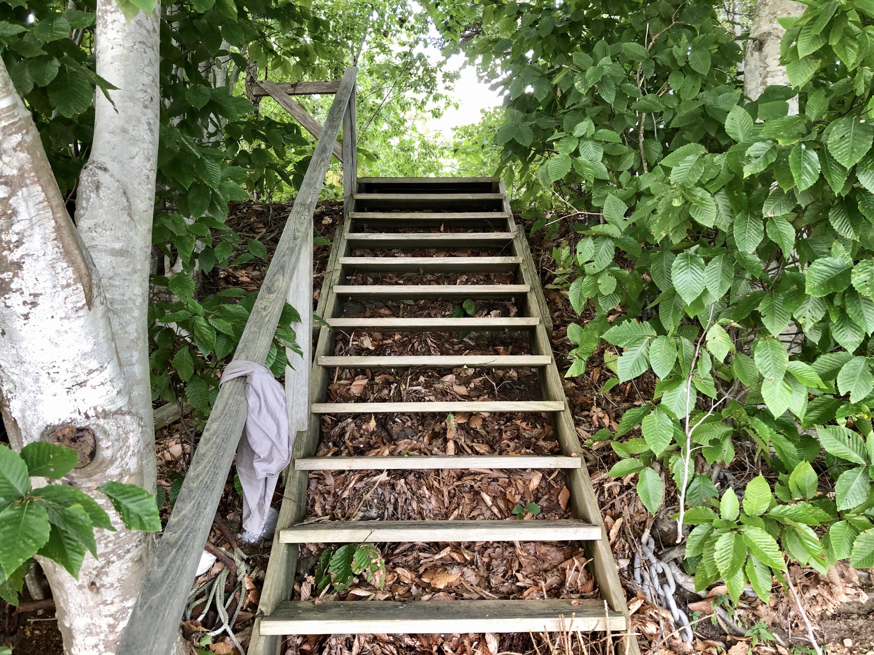 295 Oak Ledge Road Harpswell, ME 04079 - Photo 4 of 6 IMG_2210