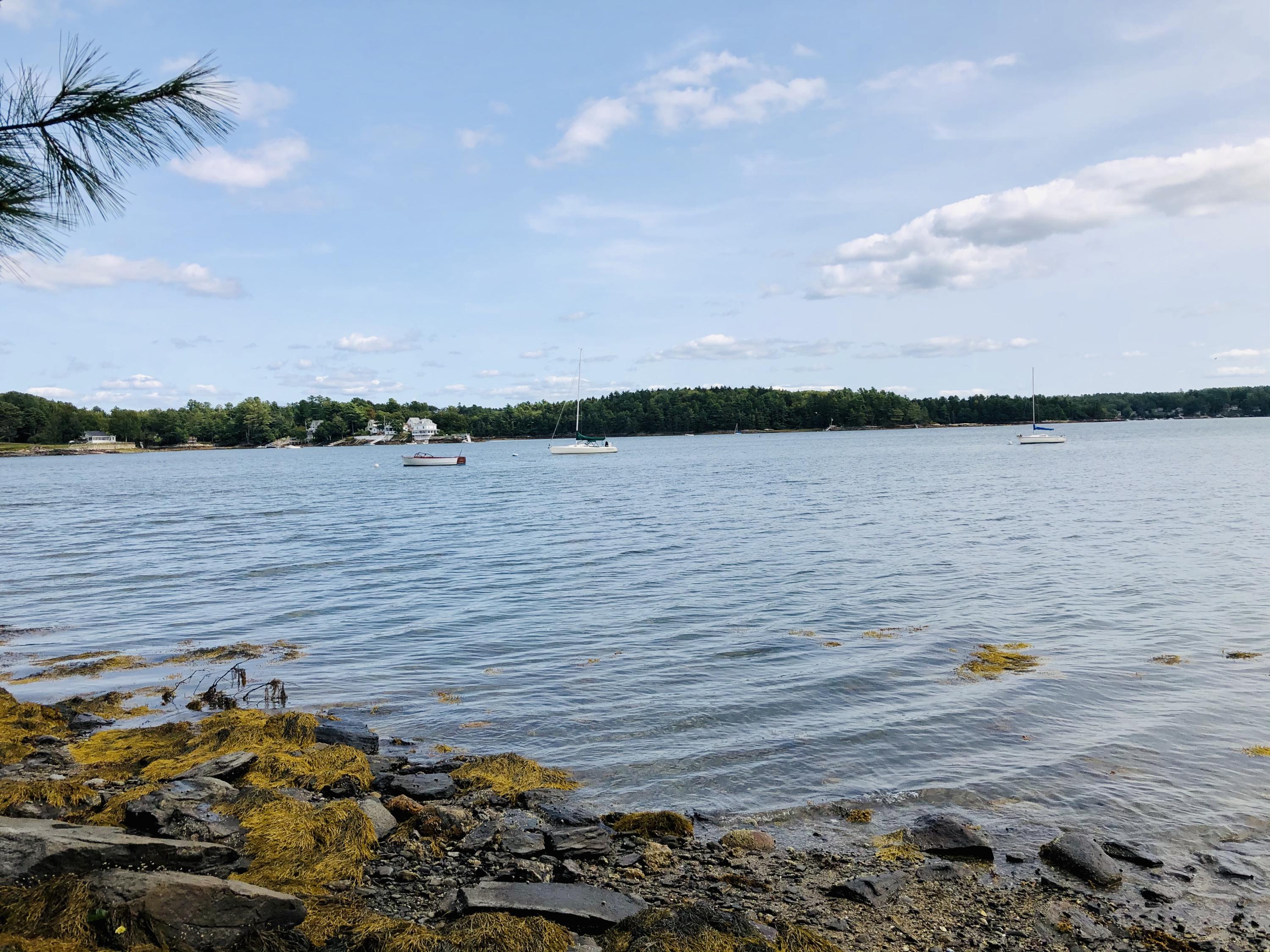 295 Oak Ledge Road Harpswell, ME 04079 - Photo 6 of 6 IMG_2213