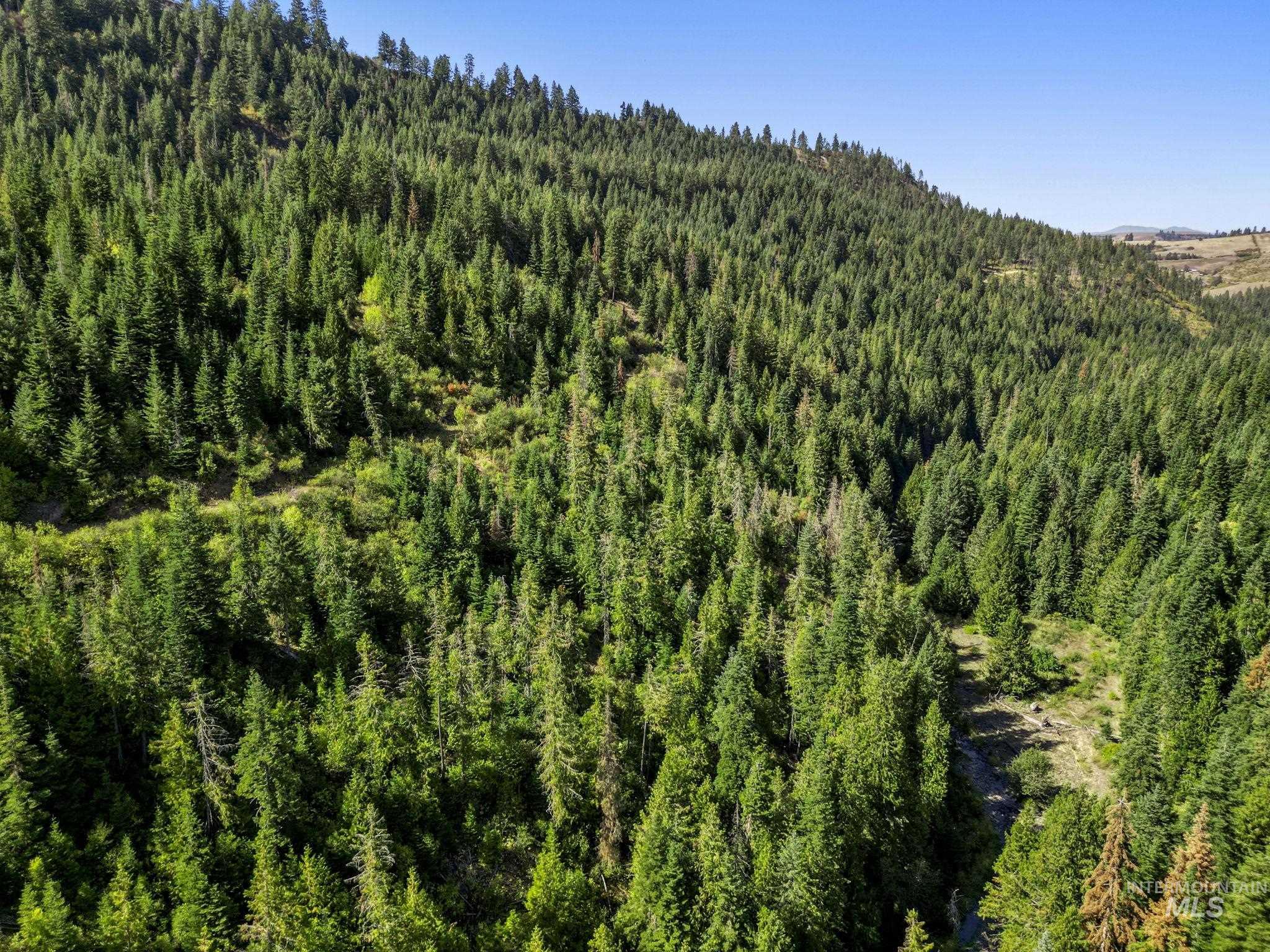 Nka Nka North Road Kendrick, ID 83537 - Photo 3 of 40 View of mountain background featuring a heavily wooded area