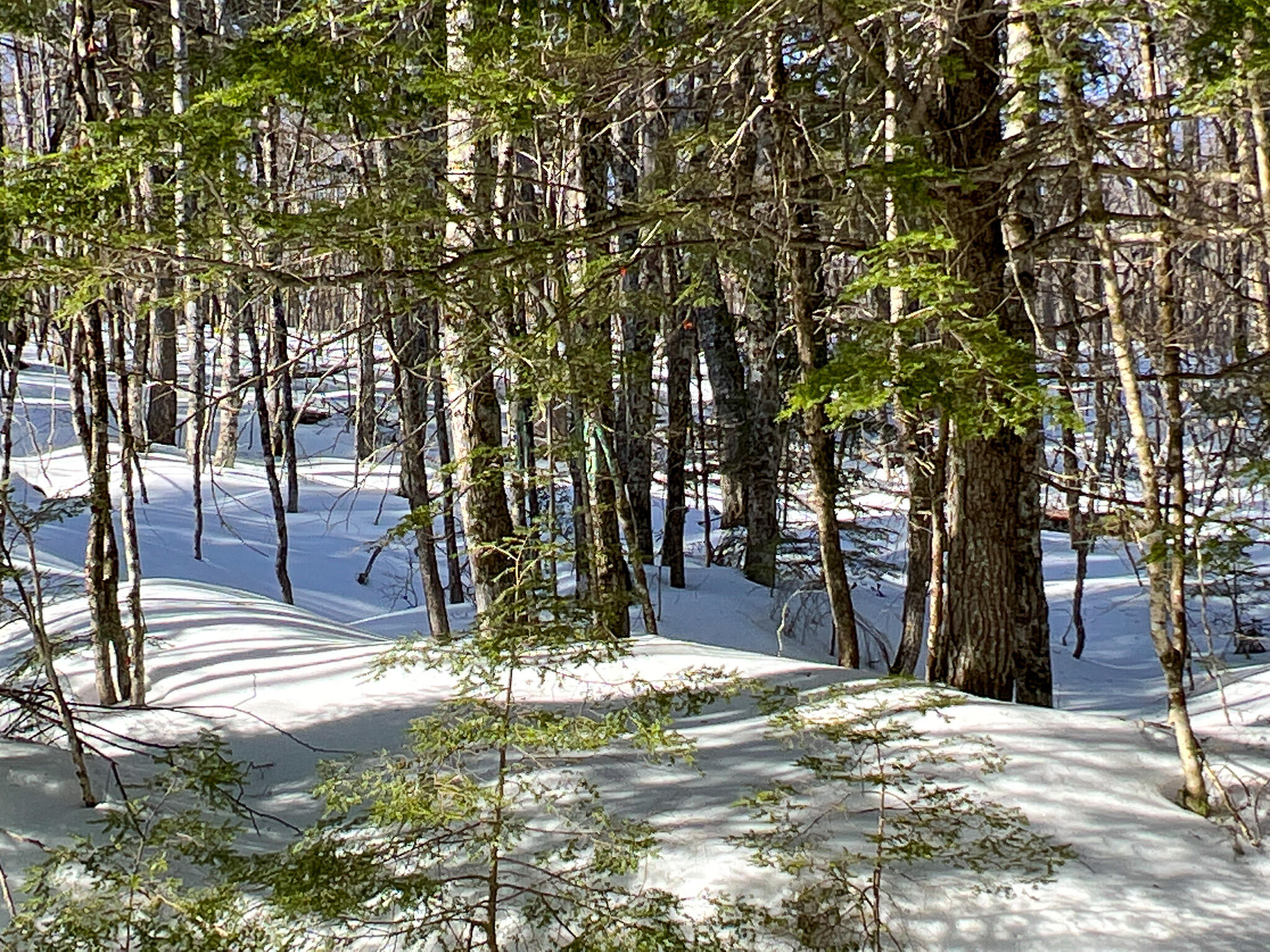 500 Sandy Beach Road Danforth, ME 04424 - Photo 20 of 26 19