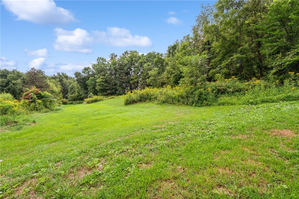 1298 Old State Road Apollo, PA 15613 - Photo 5 of 30 a backyard of a house with lots of green space