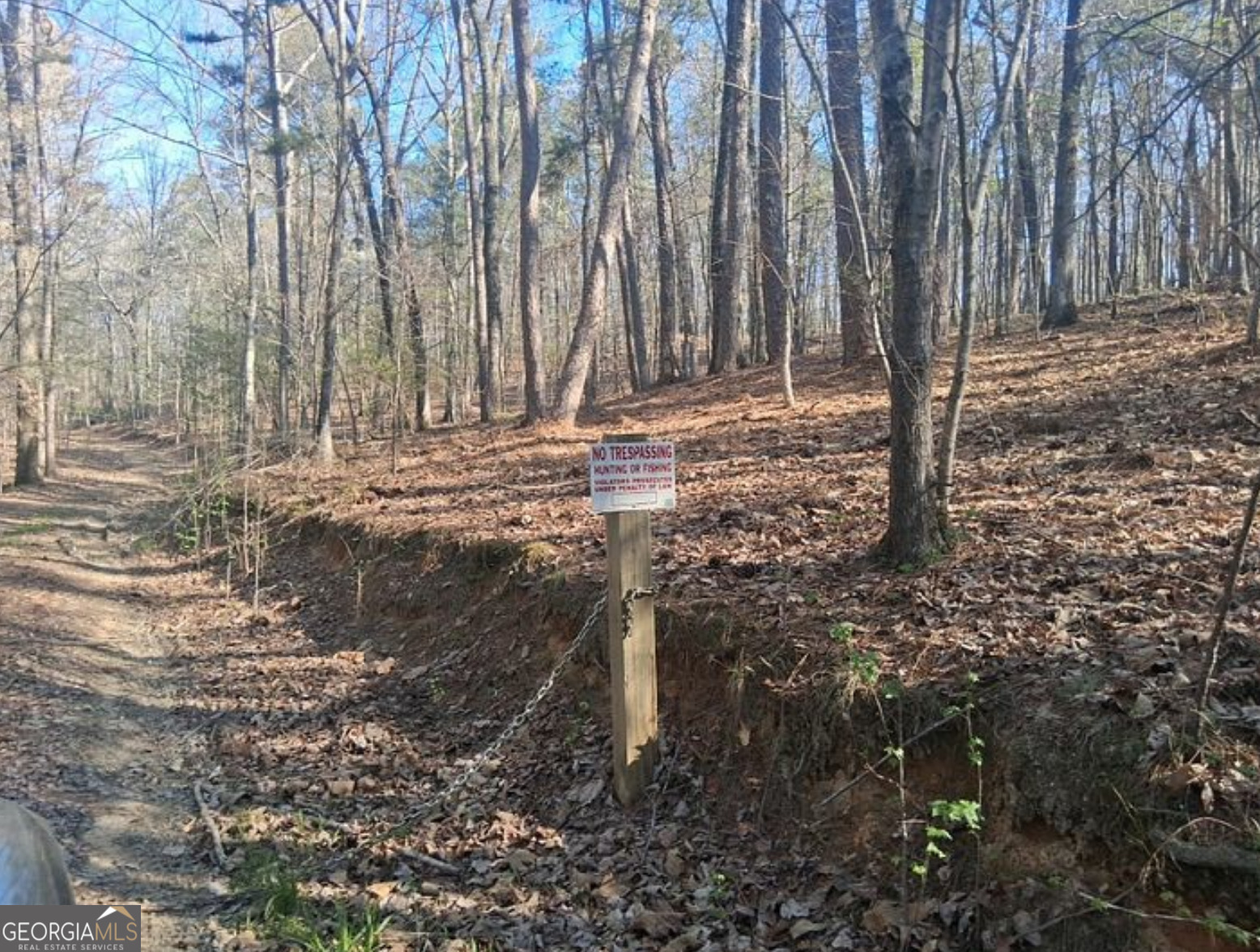 0 Hightower Falls Road Cedartown, GA 30153 - Photo 14 of 20