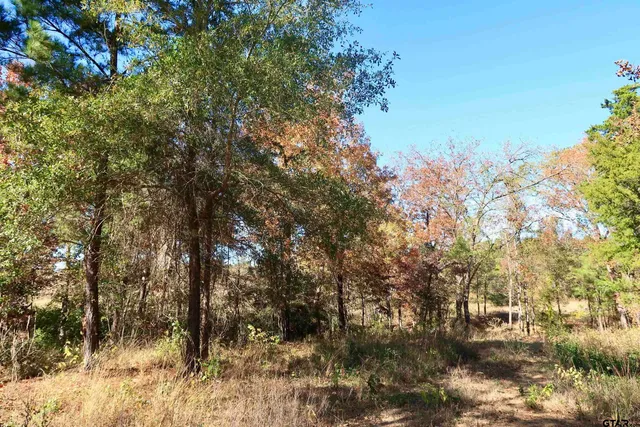 a view of snow covered with snow