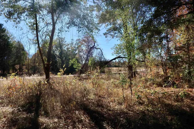 a backyard of a house with large trees