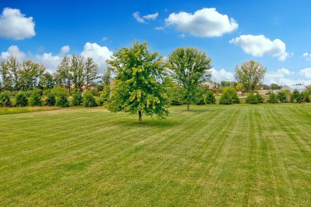 3318 Berlin Station Road Delaware, OH 43015 - Photo 38 of 59 Back Yard