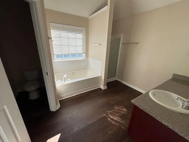 a bathroom with a sink a mirror and a bathtub