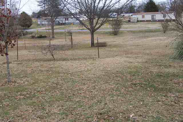 921 Friendship Road Seneca, SC 29678 - Photo 3 of 19 Gallery Image 3