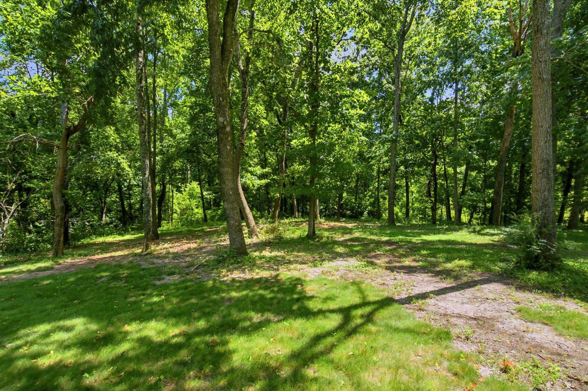 4423 Taylor Road Springfield, TN 37172 - Photo 50 of 53