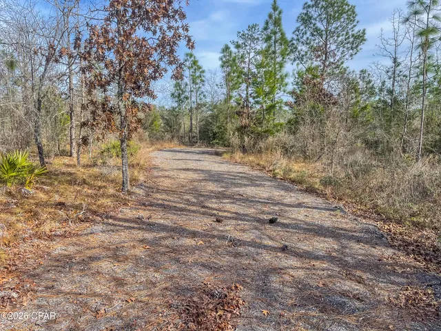$85,000 | 4343 Northwest Twin Ponds Road, Marianna, FL 32448