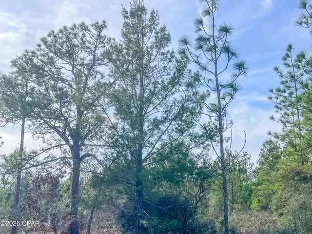 $85,000 | 4343 Northwest Twin Ponds Road, Marianna, FL 32448