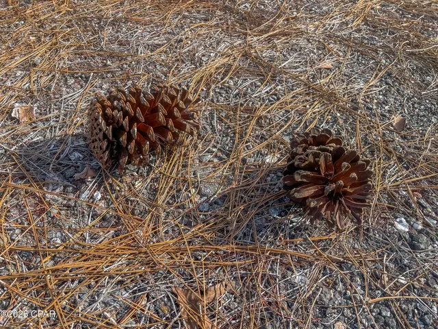 $85,000 | 4343 Northwest Twin Ponds Road, Marianna, FL 32448