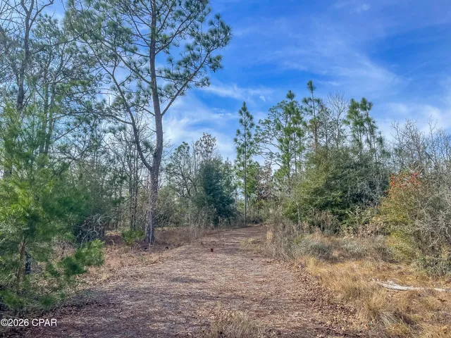 $85,000 | 4343 Northwest Twin Ponds Road, Marianna, FL 32448