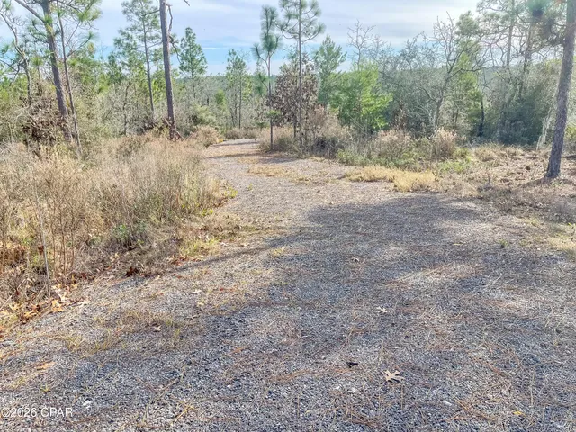 $85,000 | 4343 Northwest Twin Ponds Road, Marianna, FL 32448