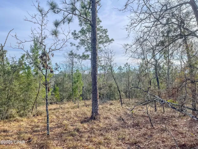 $85,000 | 4343 Northwest Twin Ponds Road, Marianna, FL 32448