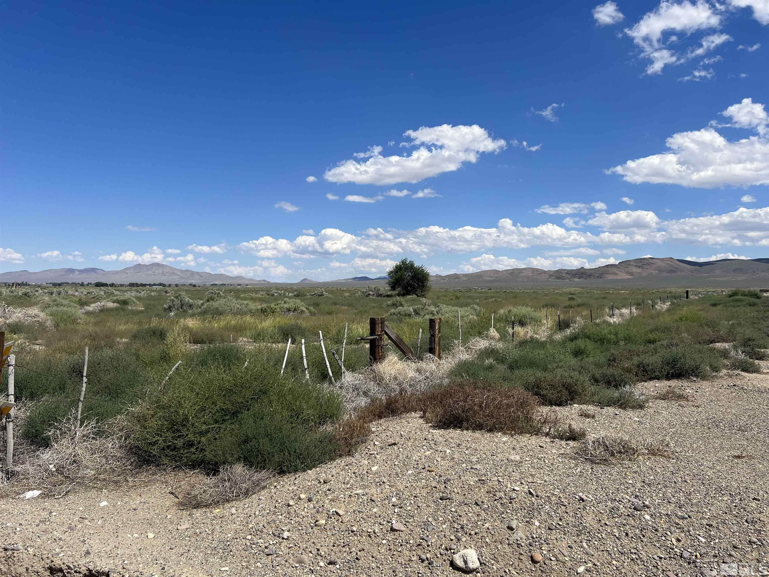 436 Highway 338 Smith, NV 89430 - Photo 11 of 19 Photo 11