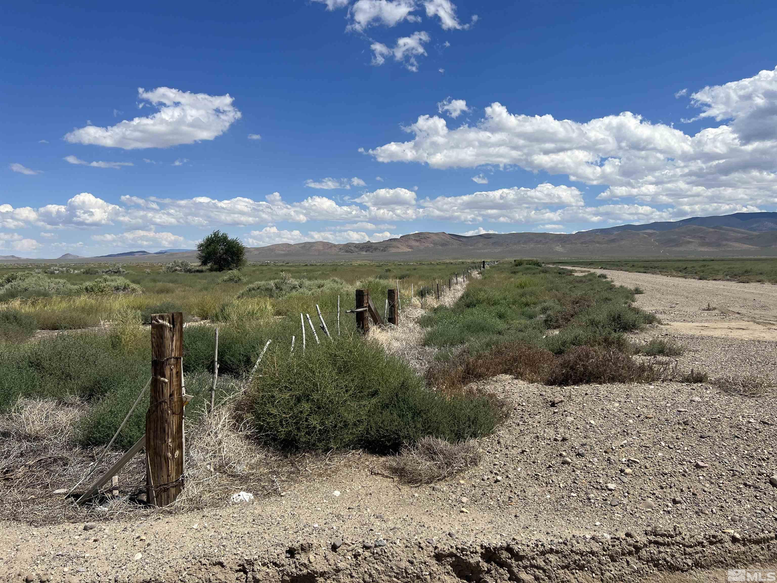 436 Highway 338 Smith, NV 89430 - Photo 13 of 19 Photo 13