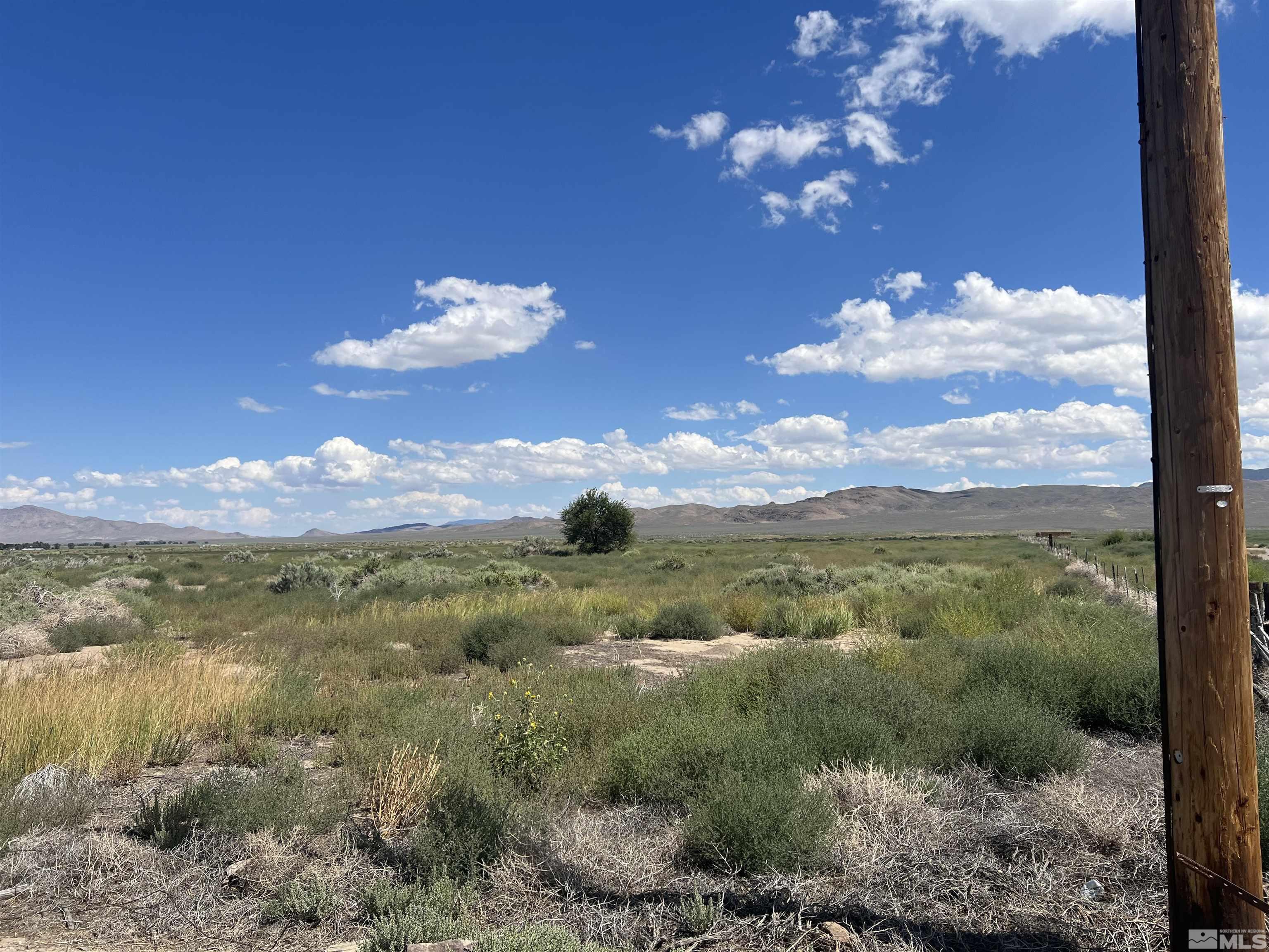 436 Highway 338 Smith, NV 89430 - Photo 15 of 19 Photo 15