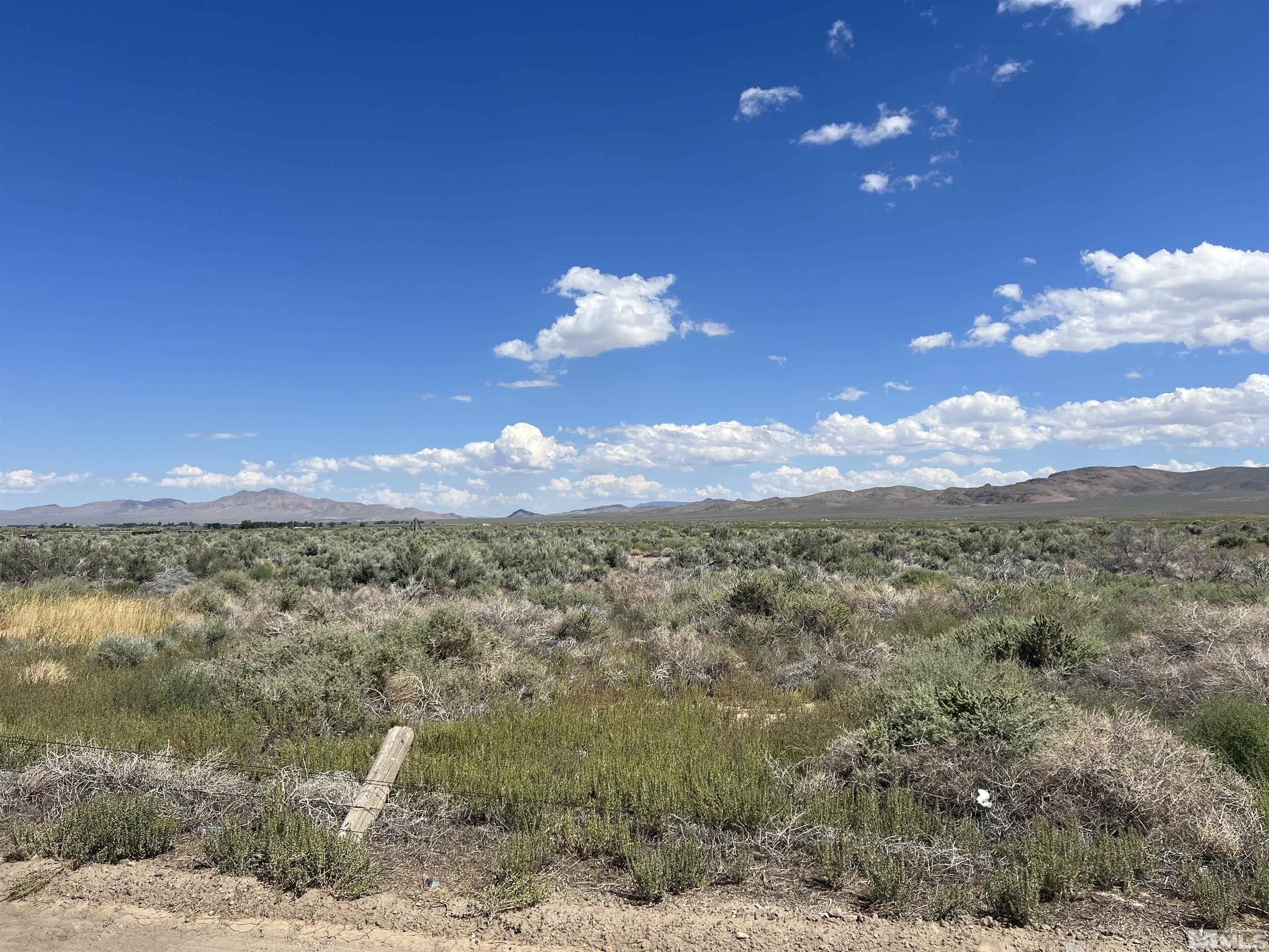 436 Highway 338 Smith, NV 89430 - Photo 17 of 19 Photo 17