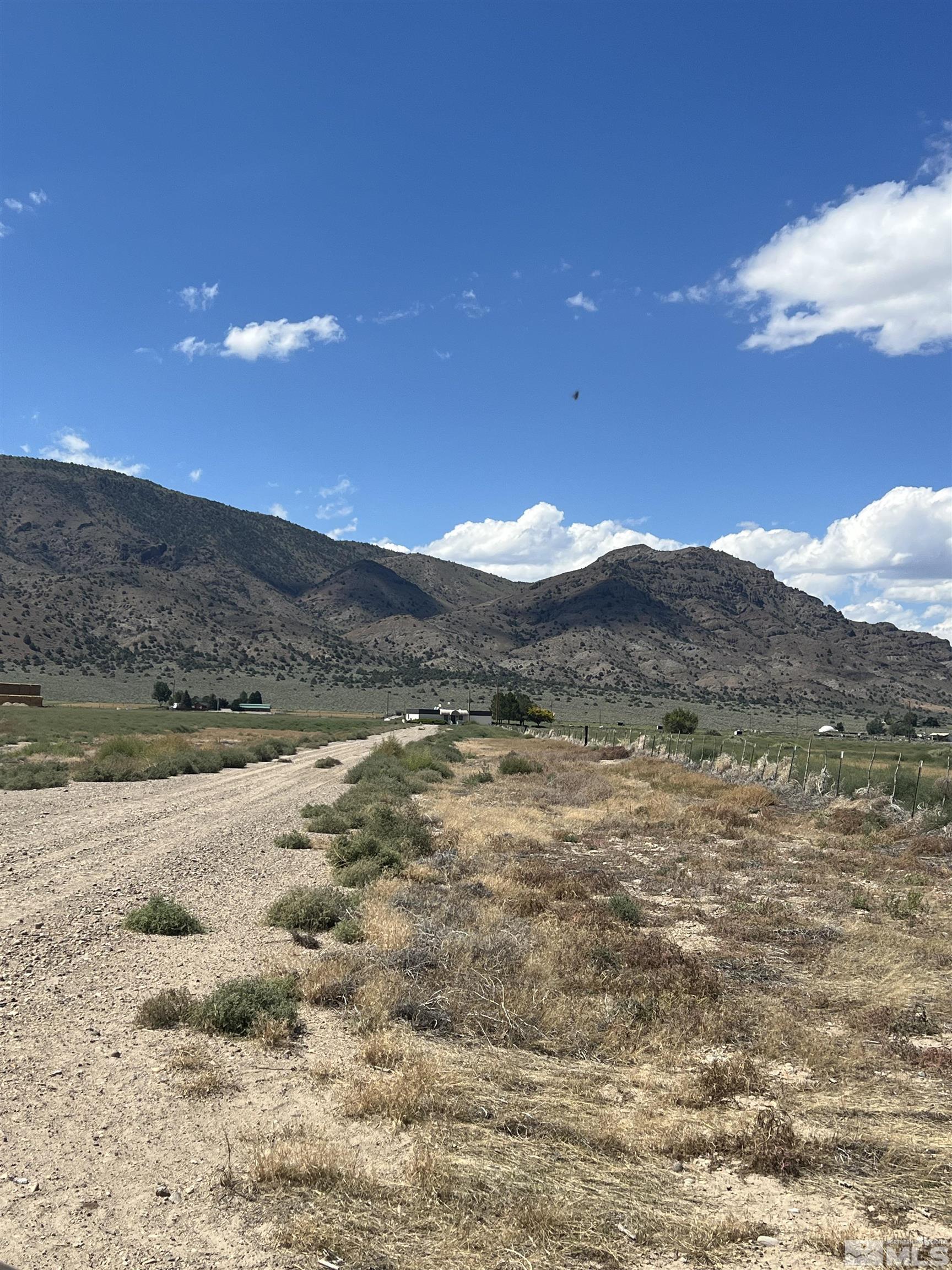 436 Highway 338 Smith, NV 89430 - Photo 9 of 19 Photo 9