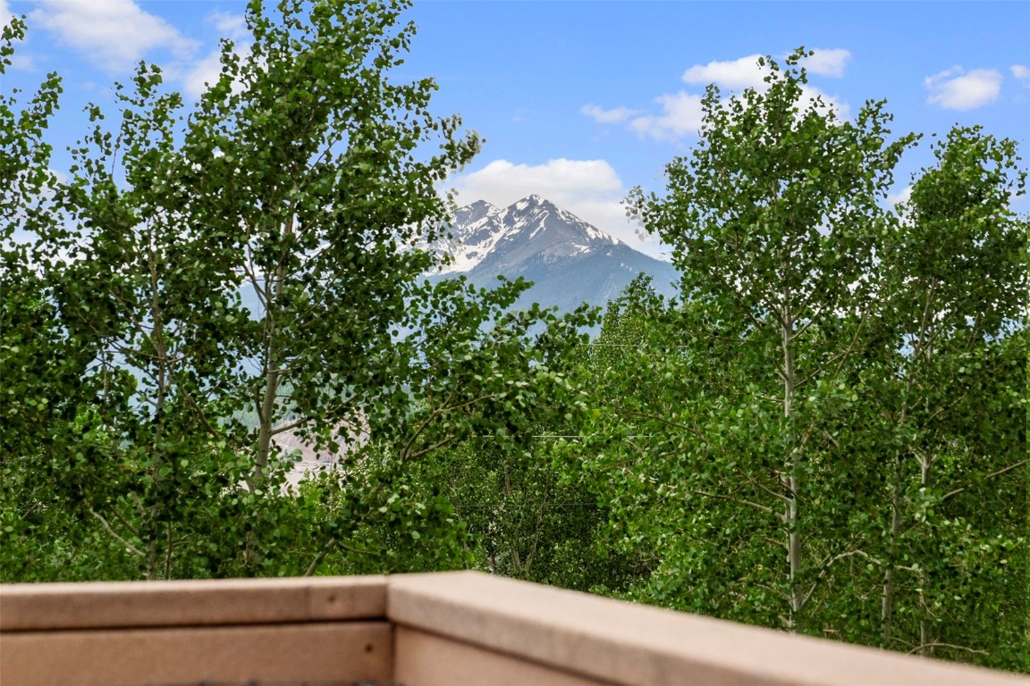 473 J Road Silverthorne, CO 80498 - Photo 29 of 38 a view of a yard with plants and a bench