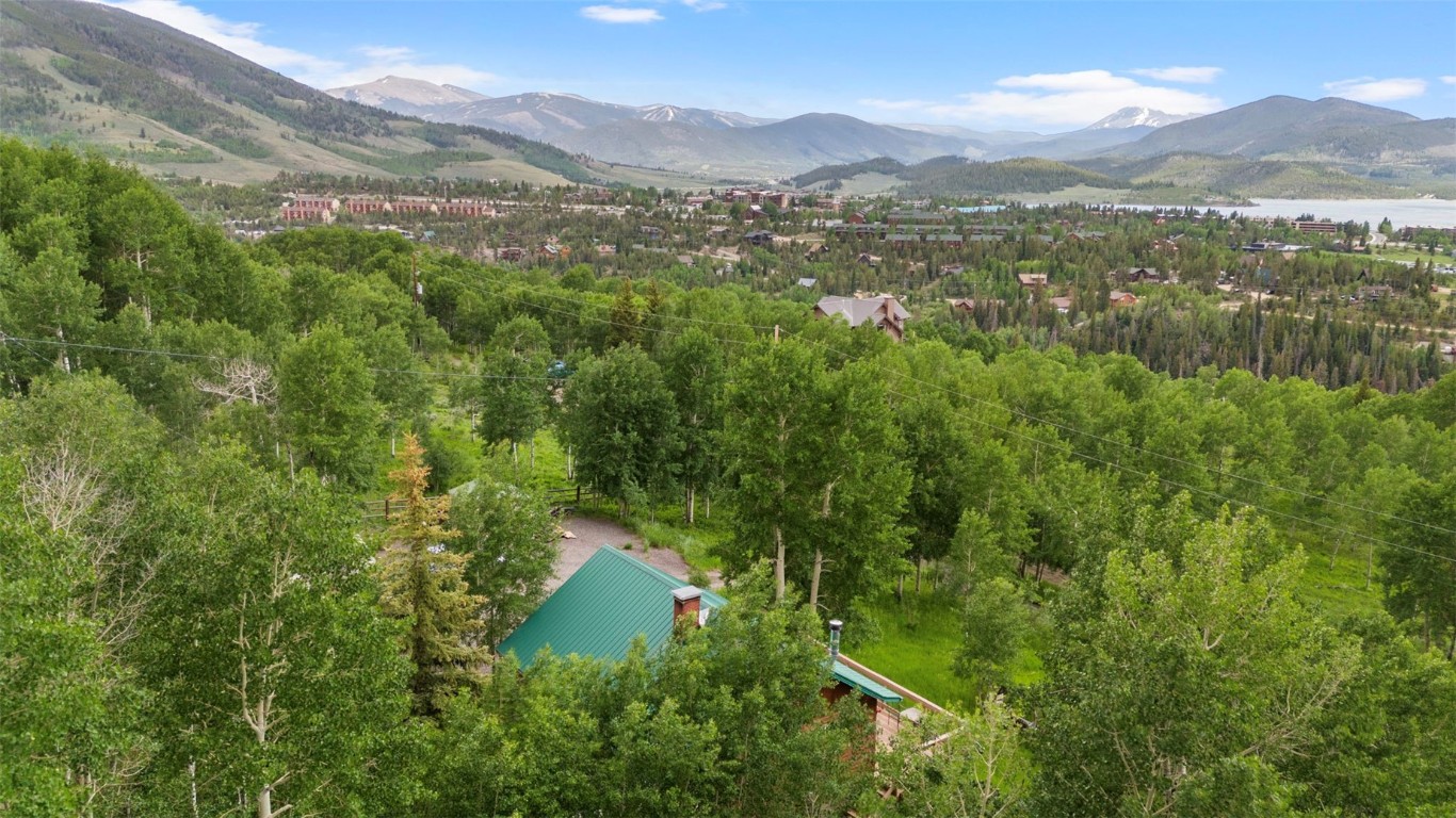 473 J Road Silverthorne, CO 80498 - Photo 34 of 38 a view of a forest with mountains in the background