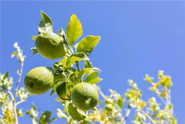 a bathroom with a sink a mirror and a vase of flowers