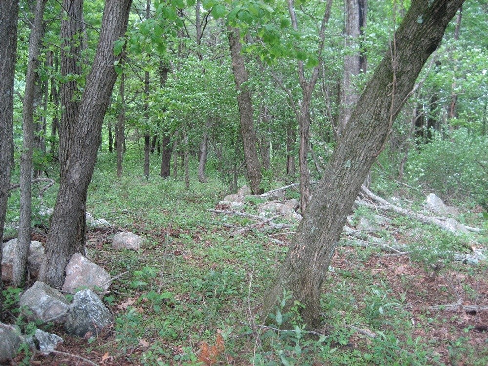 Tbd Slatemont Road Southwest Meadows Of Dan, VA 24120 - Photo 2 of 4 Gallery Image 2