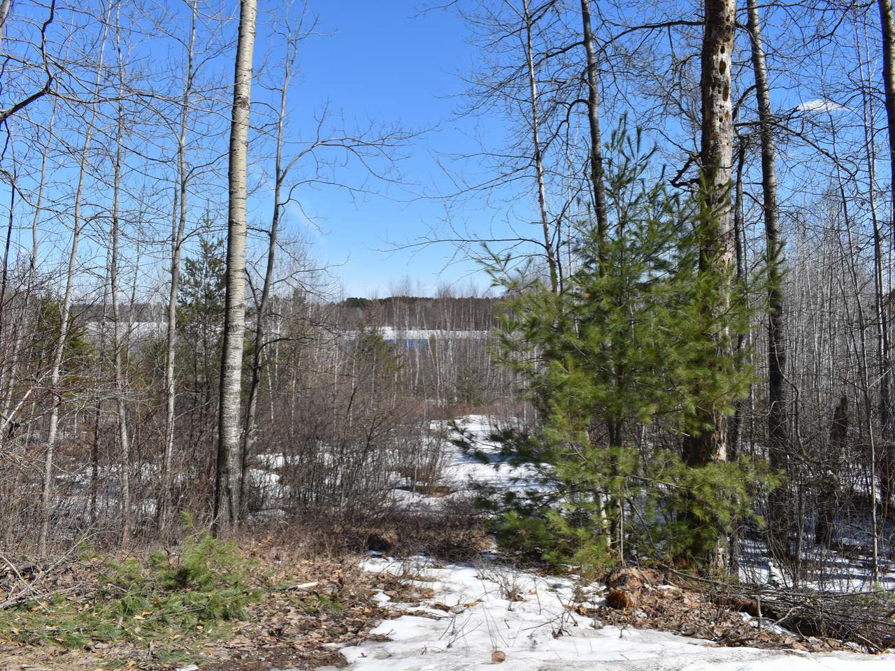 On On Pine Road, Unit LOT1 Tomahawk, WI 54487 - Photo 3 of 20 Gallery Image 3