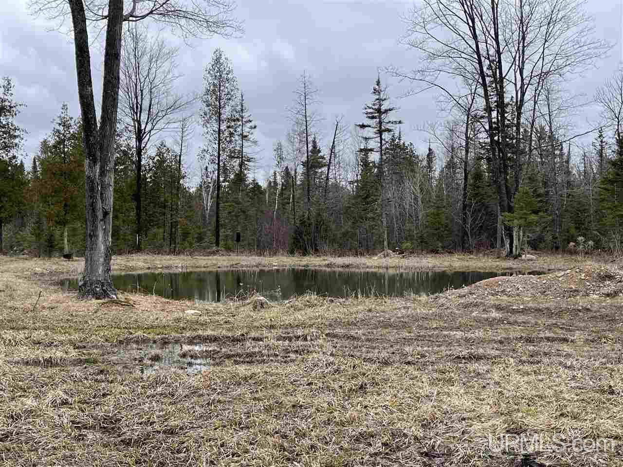 29960 Co Road Cornell, MI 49818 - Photo 24 of 27