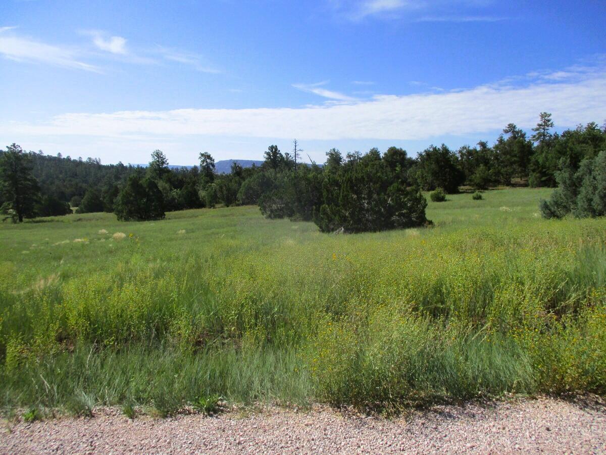 5-6 Black Bear Road Ramah, NM 87321 - Photo 33 of 64 Gallery Image 33