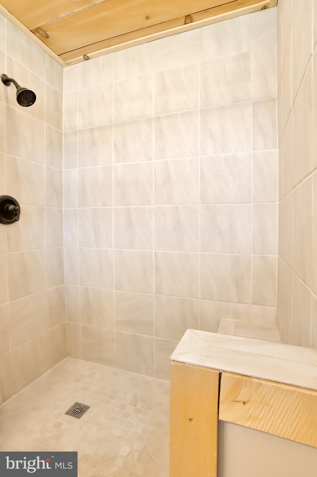 1188 Church Road Orrtanna, PA 17353 - Photo 21 of 60 Master Bathroom; Custom Walk-In Shower