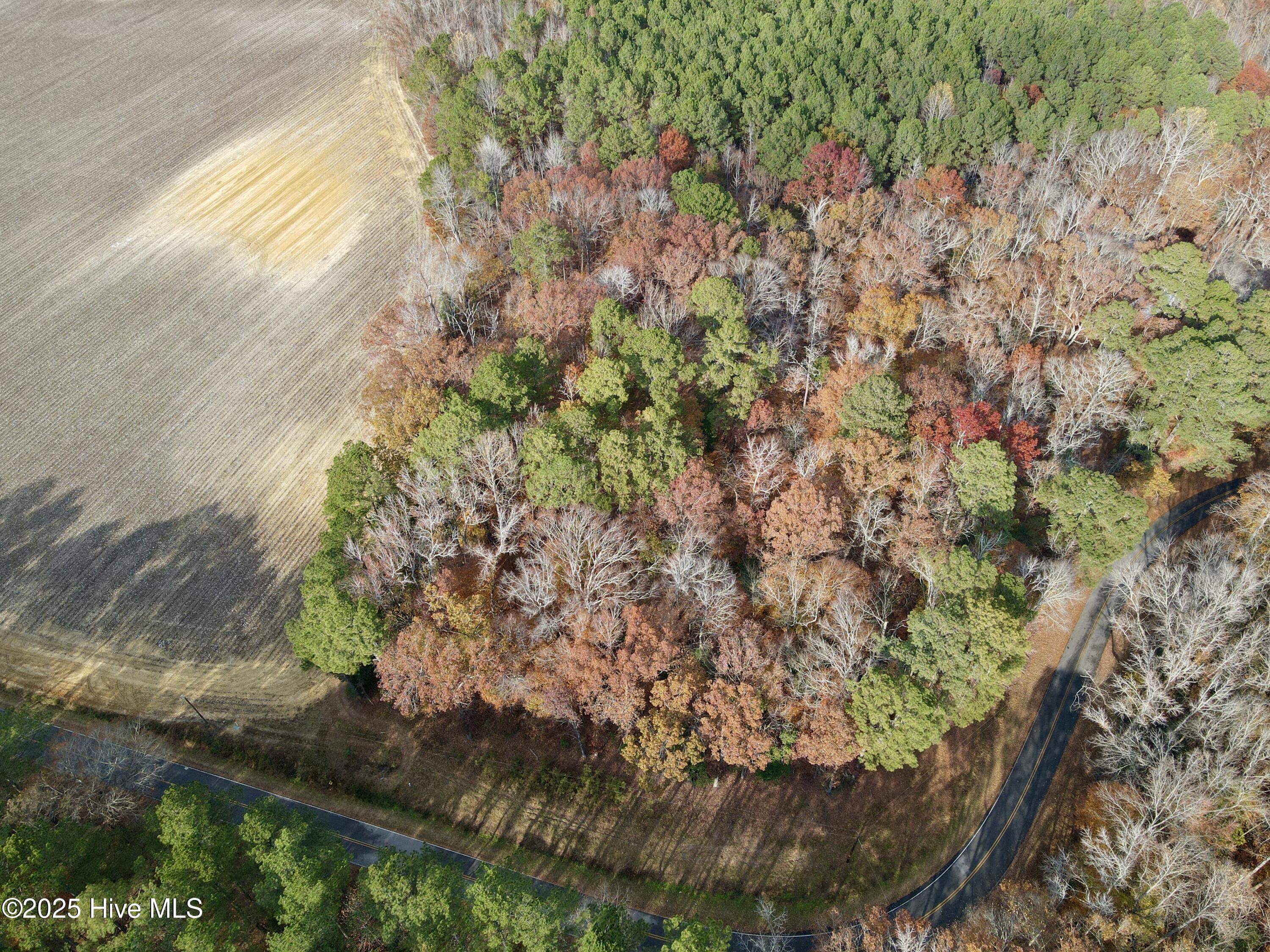0 Williams Road Williamston, NC 27892 - Photo 2 of 16 Aerial Top View