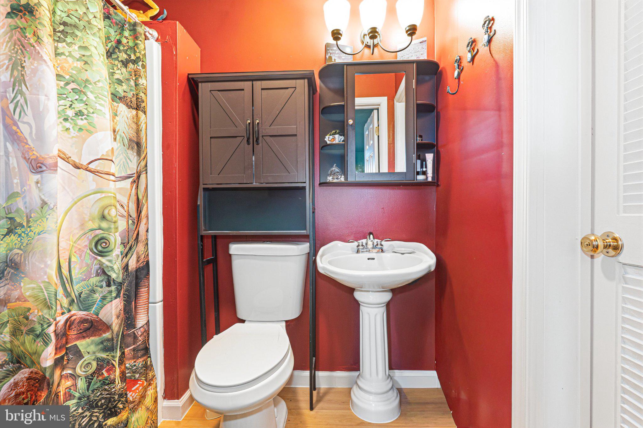 10 Cowl Court Baltimore, MD 21220 - Photo 27 of 33 Vibrant red bathroom with nature accents.