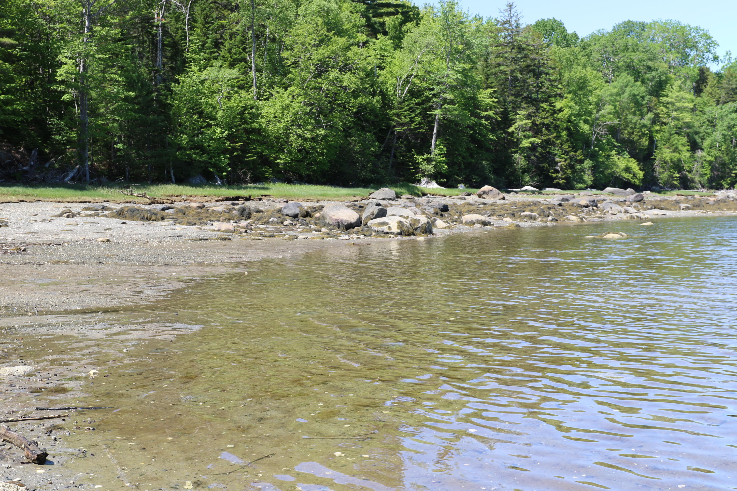 Lot 5 Newbury Neck Road Surry, ME 04684 - Photo 8 of 10 133A8880
