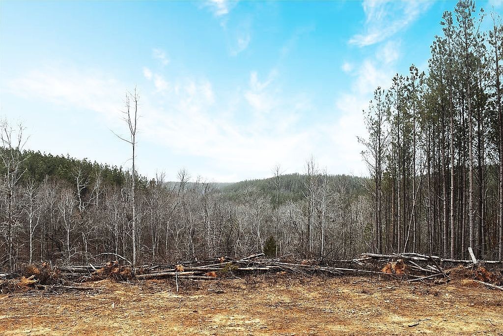 1661 Sassafras Stand Ridge Road Linden, TN 37096 - Photo 2 of 23 a view of a house with a yard