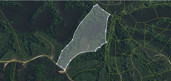 1661 Sassafras Stand Ridge Road Linden, TN 37096 - Photo 23 of 23 a view of a yard