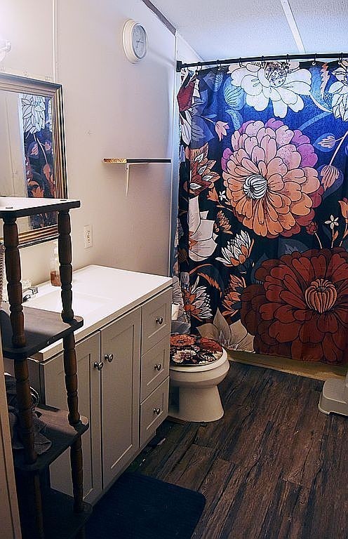 1661 Sassafras Stand Ridge Road Linden, TN 37096 - Photo 10 of 23 a bathroom with a sink and mirror with toilet