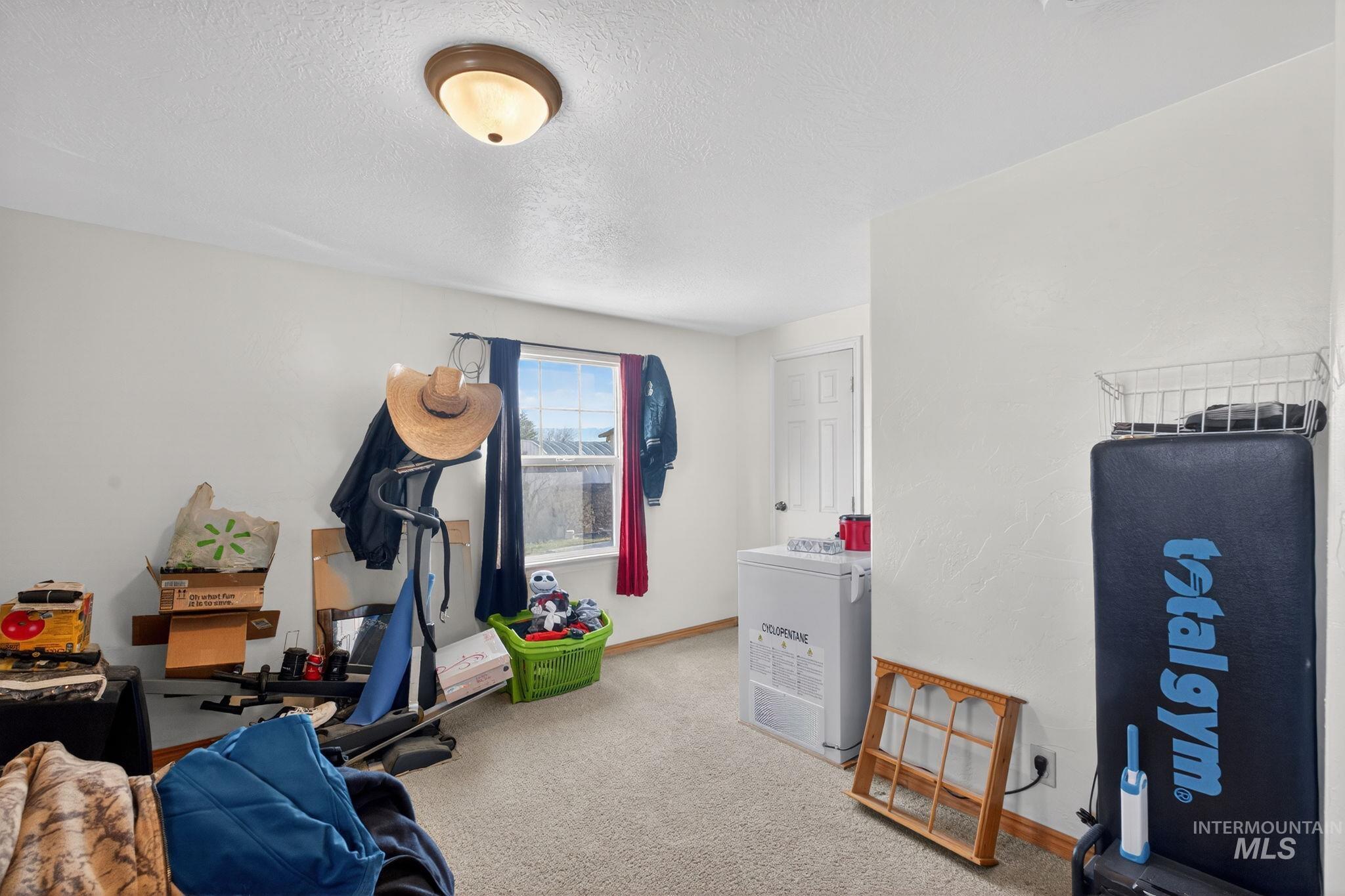 49 South 4th Street West Preston, ID 83263 - Photo 9 of 48 Game room with carpet and a textured ceiling