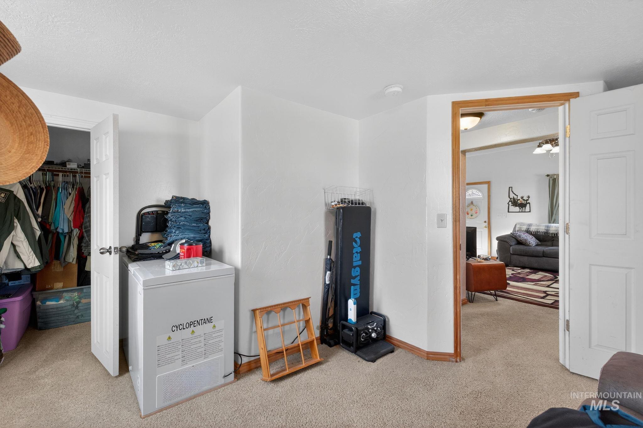 49 South 4th Street West Preston, ID 83263 - Photo 10 of 48 Bedroom featuring light carpet and a walk in closet