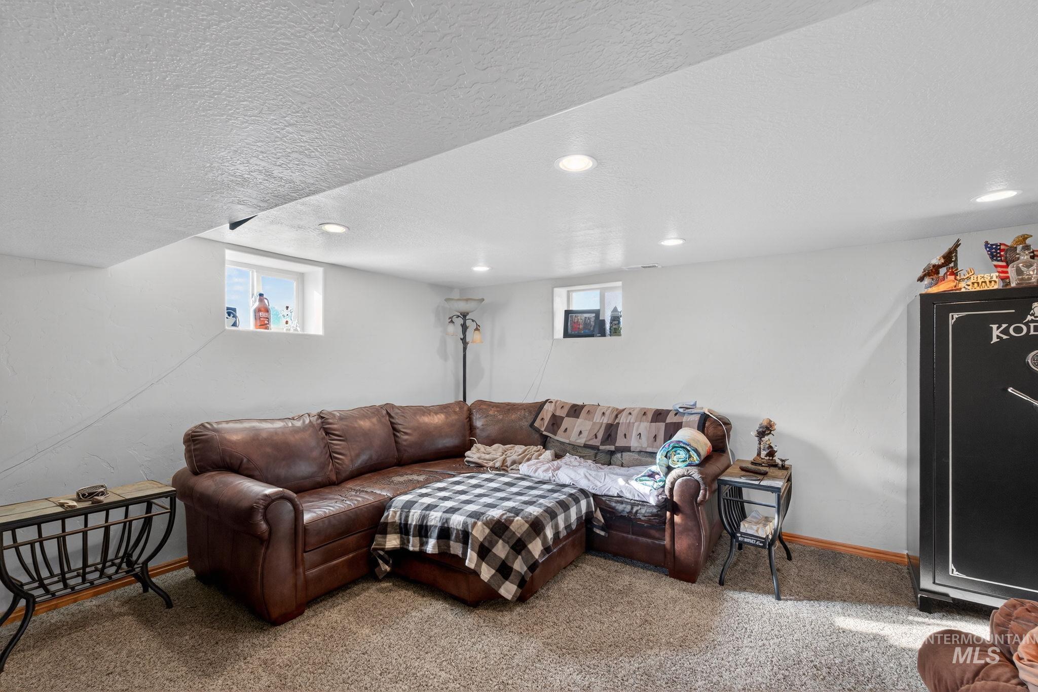49 South 4th Street West Preston, ID 83263 - Photo 11 of 48 Carpeted living room with a textured ceiling