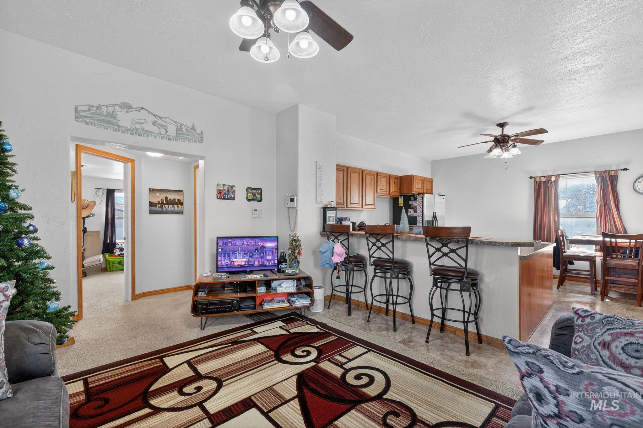 49 South 4th Street West Preston, ID 83263 - Photo 3 of 48 Living area with ceiling fan, a textured ceiling, and light colored carpet