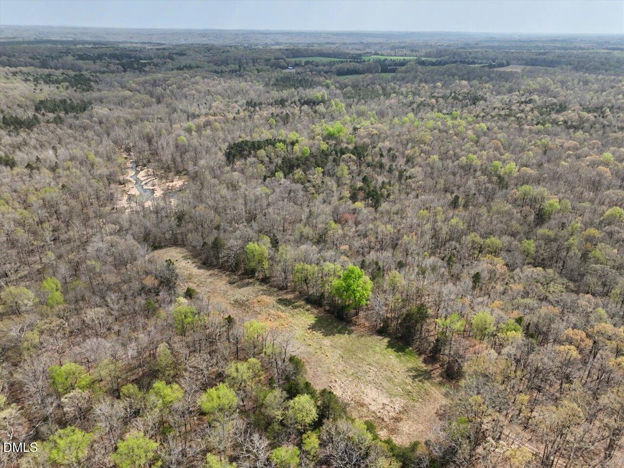7793 Ridgeville Road Leasburg, NC 27291 - Photo 41 of 91