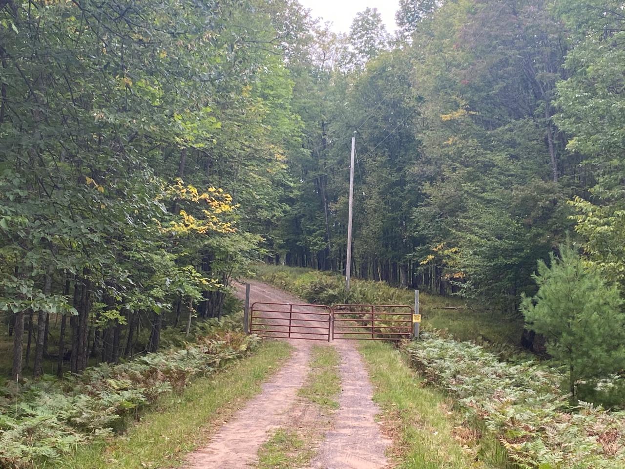 Lot 23 Grace Lake Road Watersmeet, MI 49969 - Photo 25 of 25 Gallery Image 25