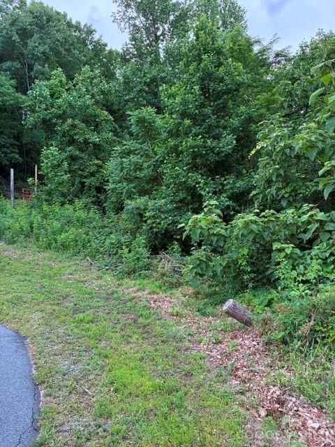 97 Devin Rdg Lane, Unit 97 Union Mills, NC 28167 - Photo 1 of 3 a view of a lush green forest